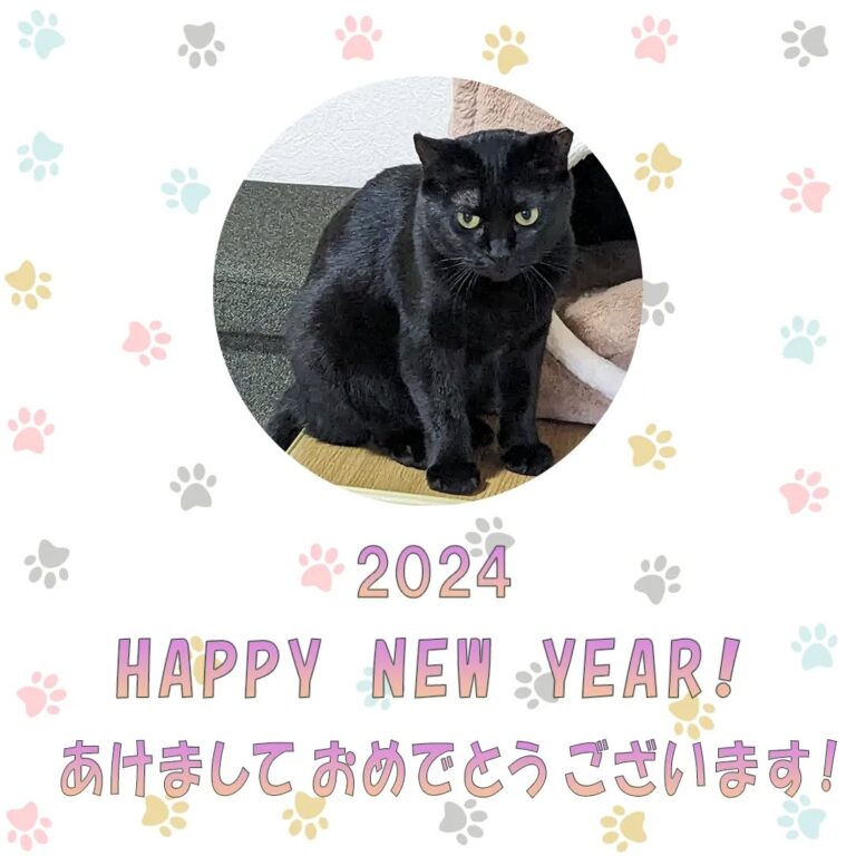 インスタグラム画像1