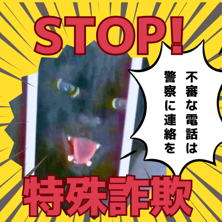 インスタグラム画像11